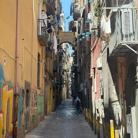 Maison d'hôtes Vikolo 3*